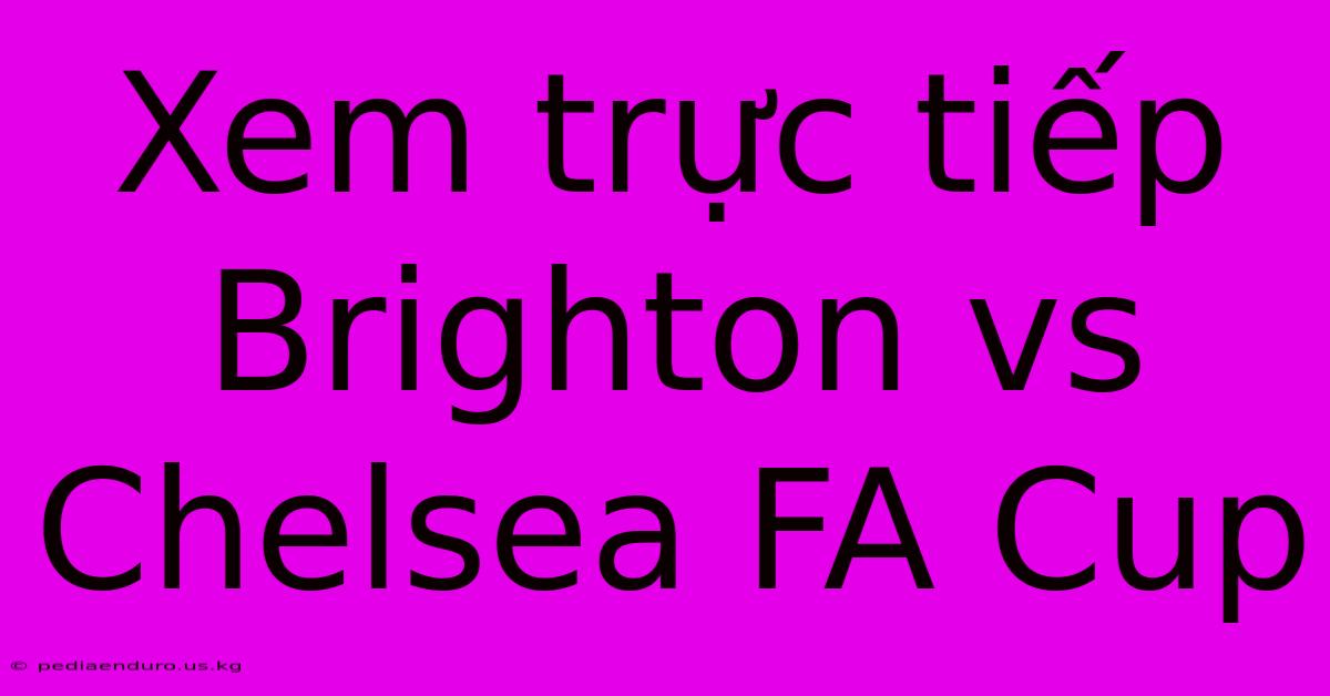 Xem Trực Tiếp Brighton Vs Chelsea FA Cup