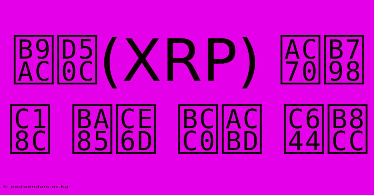 리플(XRP) 거래소 명칭 변경 완료