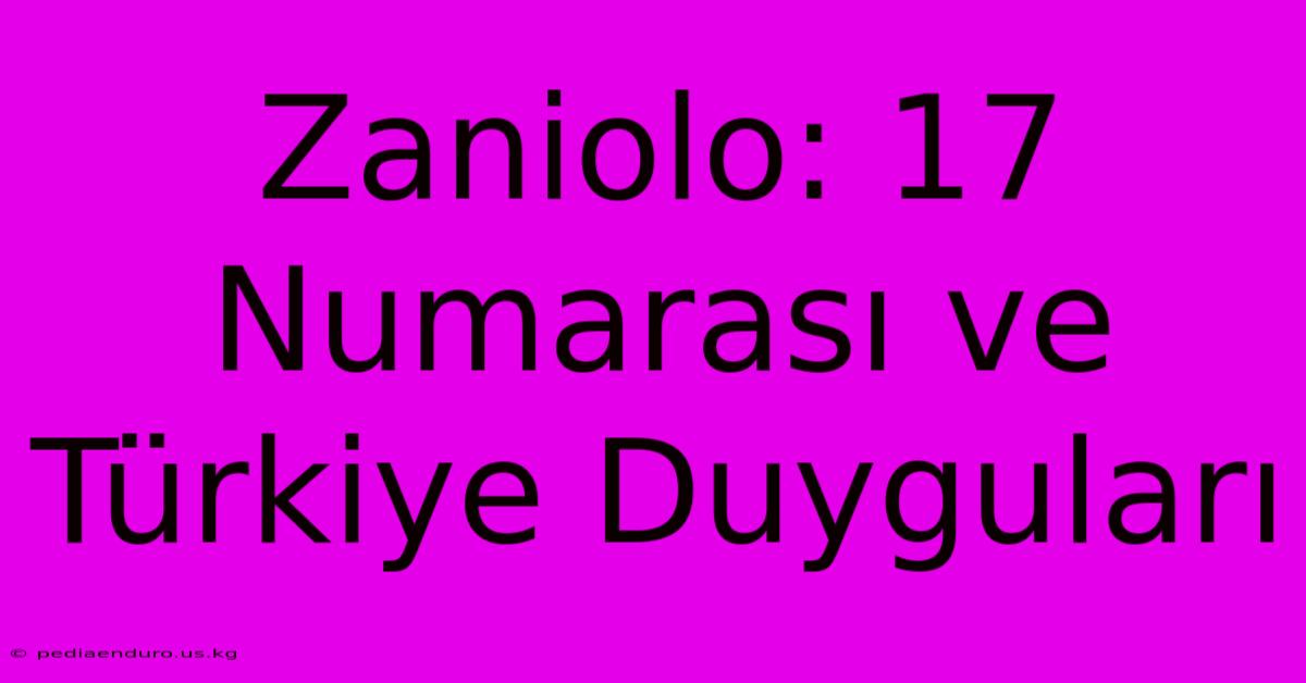 Zaniolo: 17 Numarası Ve Türkiye Duyguları